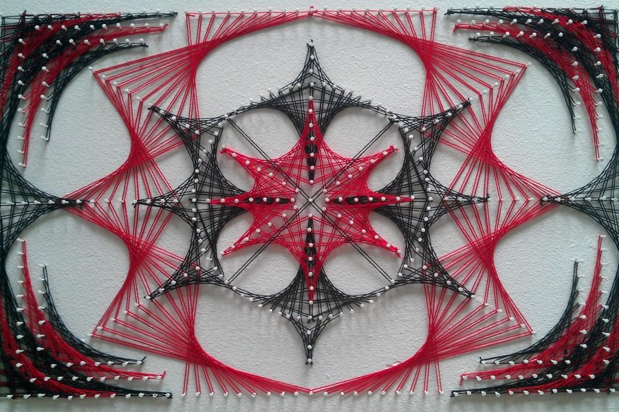 Spider dream Spider dream